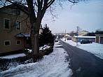 Borovina