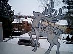 Borovina