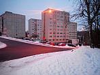 Borovina