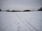 Borovina
