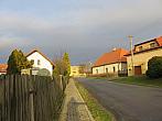 Třibřichy