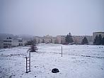 Borovina