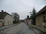 Třibřichy