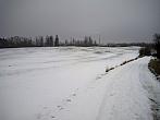Borovina