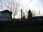 Třibřichy