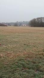 Podlazice