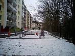 Borovina