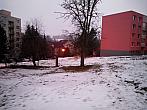 Borovina