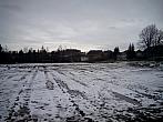 Borovina