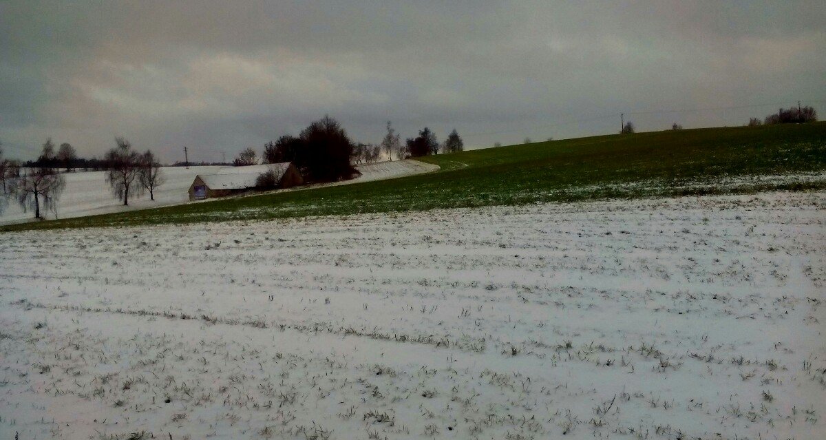 Kunžak