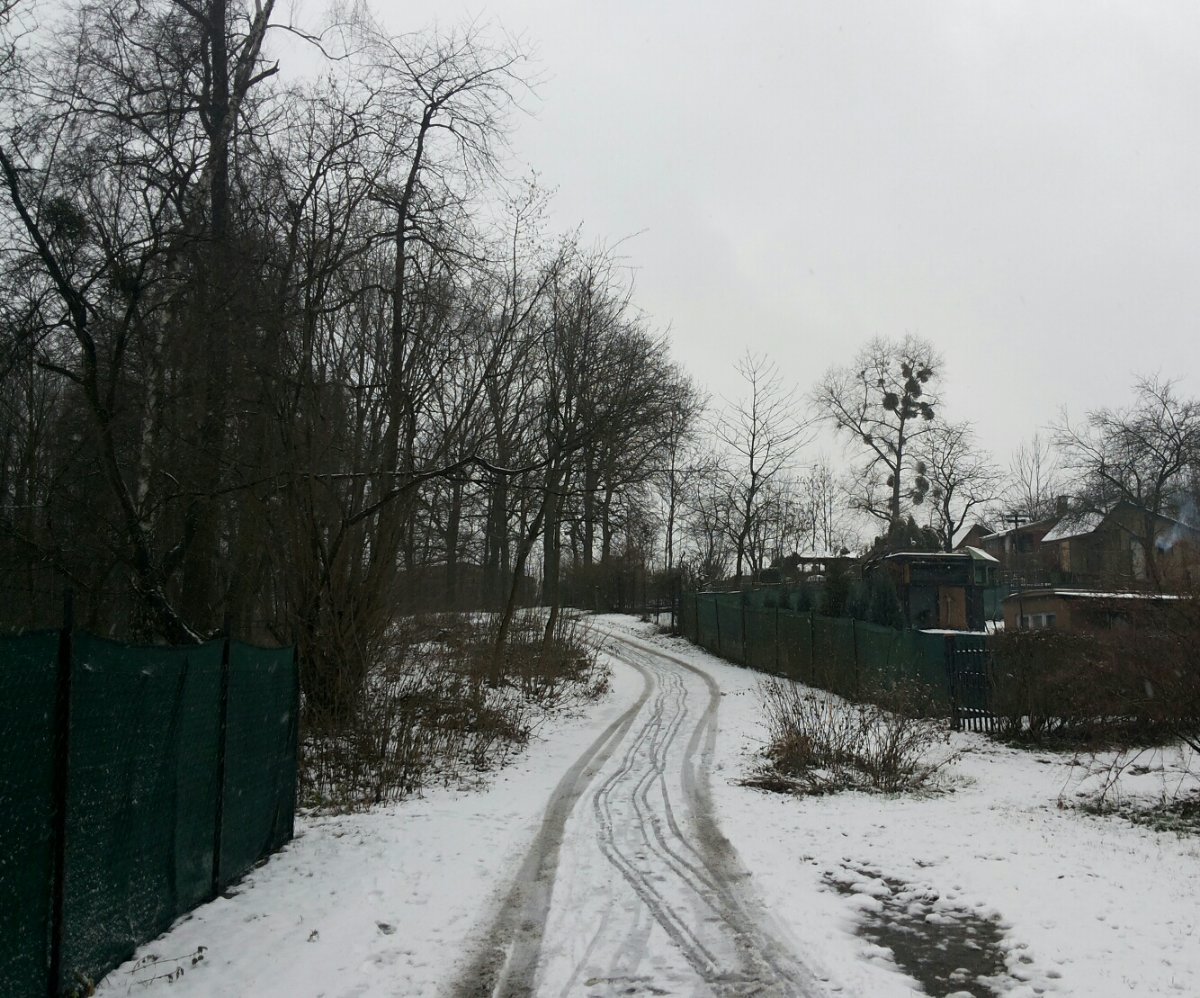 Český Těšín