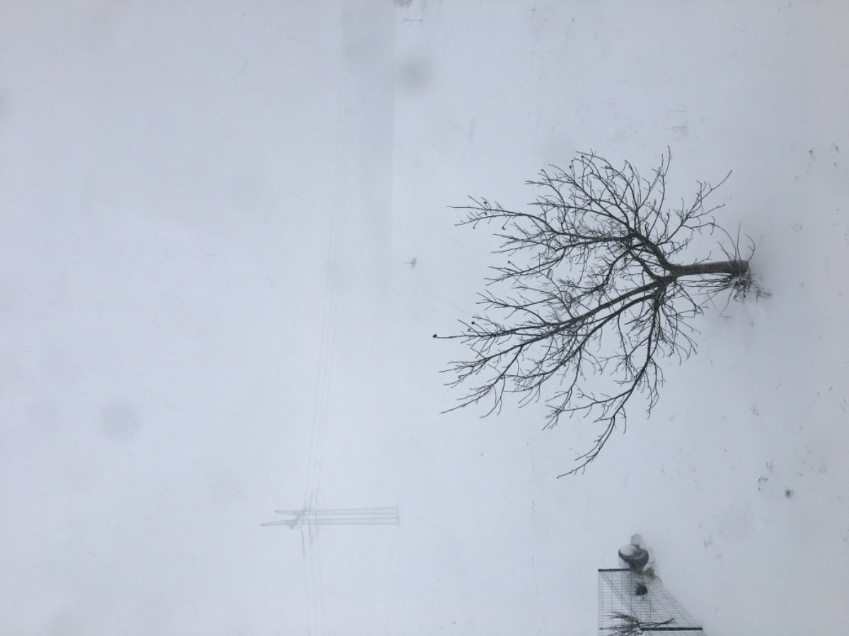 Návsí