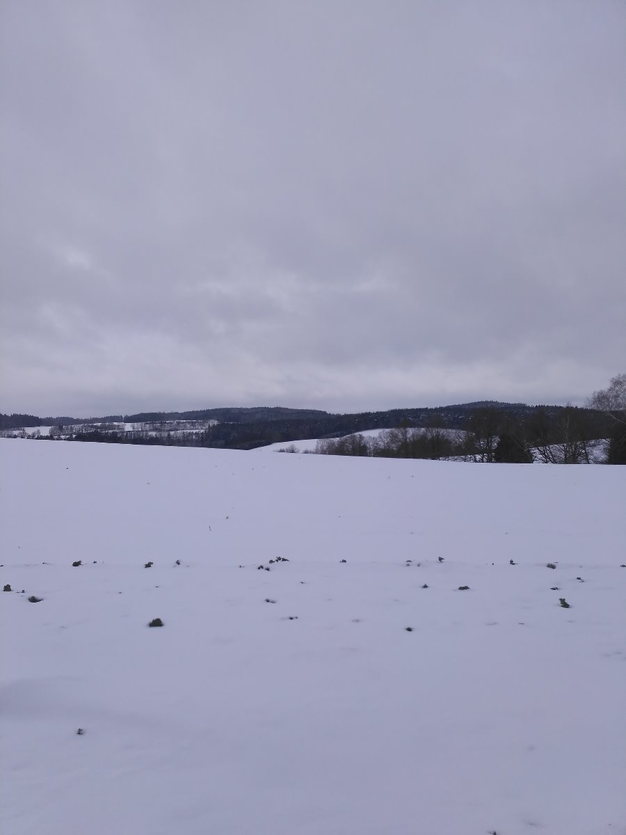 Kojčice