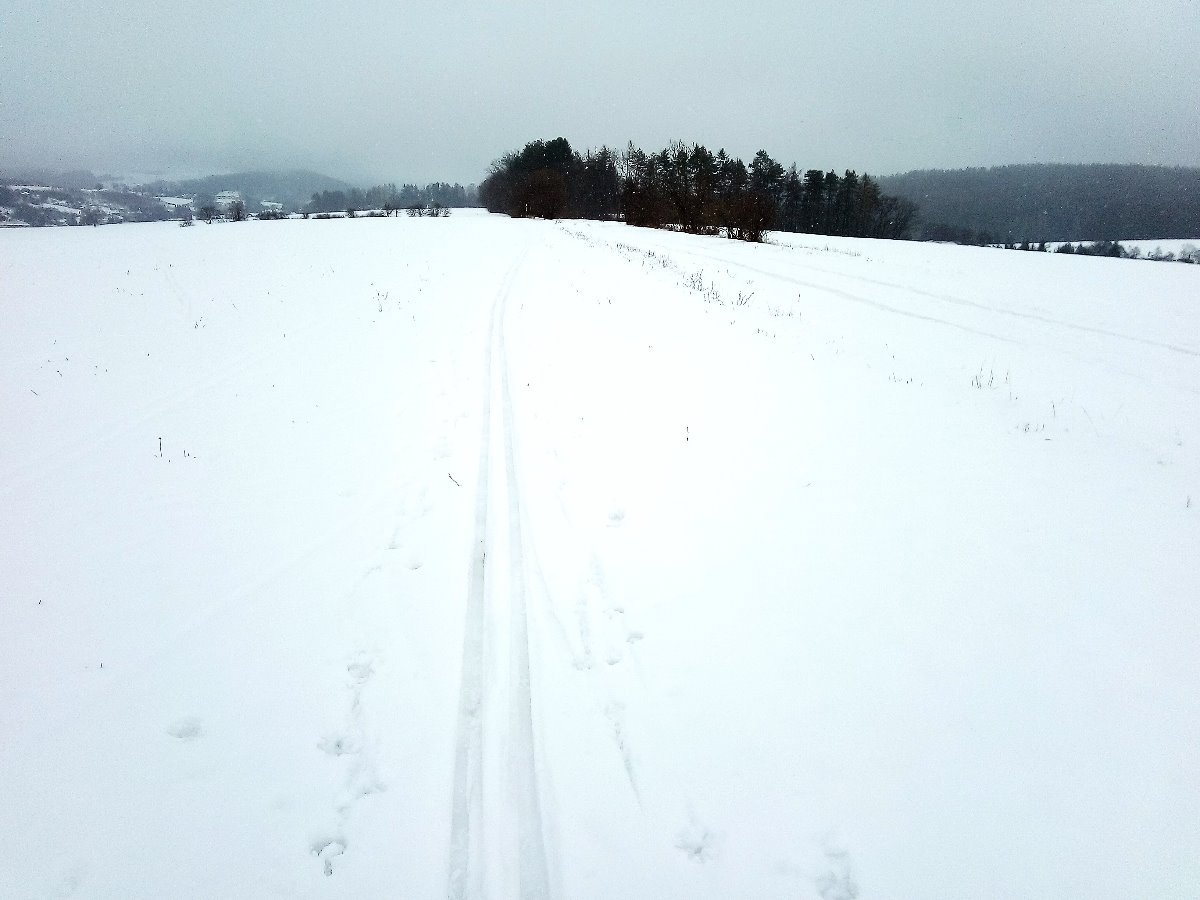 Nová Paka 
