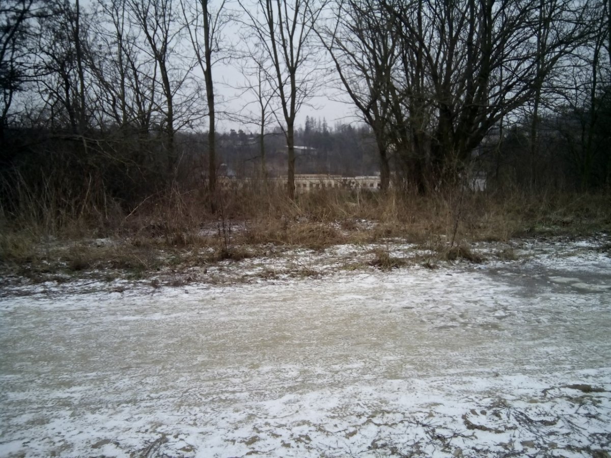 Borovina