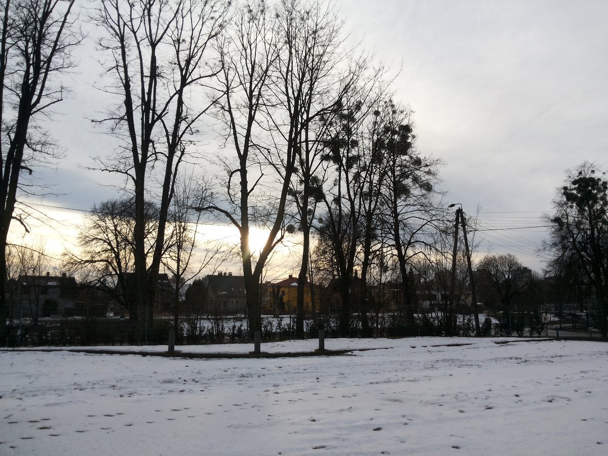 Český Těšín