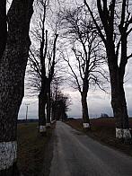 Pacov