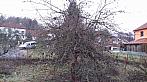 Olešná