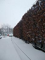 Pacov