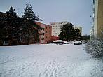 Borovina