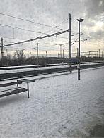 Ostarva