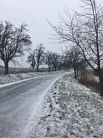 Kostelany