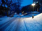 Borovina