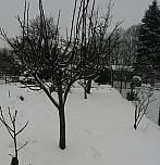Český Těšín