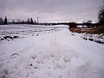 Borovina