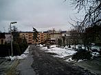 Borovina