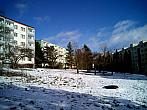 Borovina