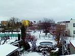 Hořice - Libonice