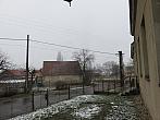 Třibřichy