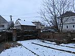 Třibřichy