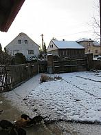 Třibřichy