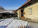 Třibřichy