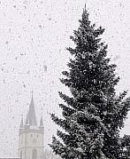 Tachov