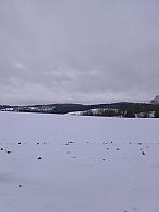 Kojčice