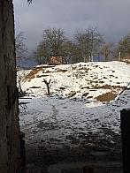 Tršice