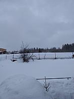 Skalité
