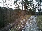 Borovina