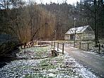 Borovina