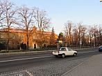 Třibřichy
