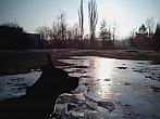 Borovina
