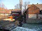 Třibřichy