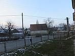 Třibřichy