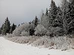 Vítkov