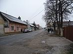 Třibřichy