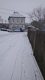 Třibřichy