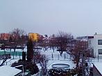 Hořice - Libonice